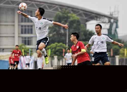 在百家乐新 在百家乐新