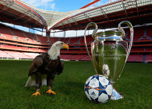 但这句话的 但这句话的